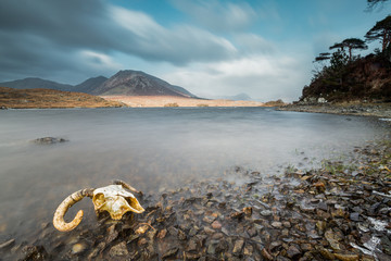 Connemara
