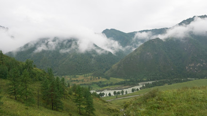 Beautiful mountain view. Low clouds of fog lie on the green slopes of the Altai mountains. Summer walk in the mystical cloudy weather