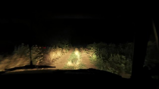 Headlights illuminate the road. The car rides on an earthen road in the field. Off-road. The road outside the city. Night trip. Poor visibility of the road.