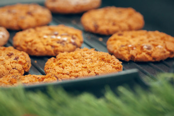 Top view of oat cookies in baking tray on wooden table