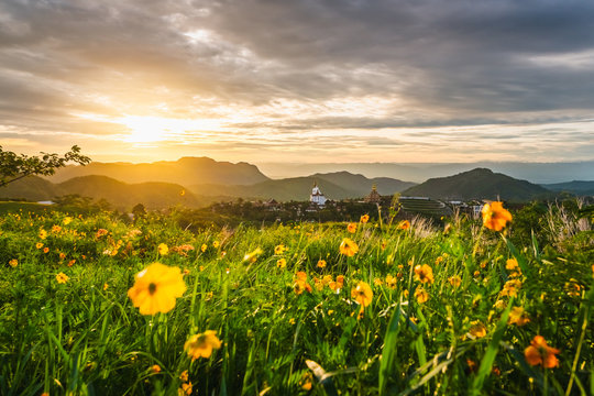 Beautiful nature scenic landscape Wat Phra Thad Phra Son Kaew at sunrise on hill top, Famous place tourist travel Phetchabun Thailand, Tourism destination Asia summer trips, Outdoor spring background