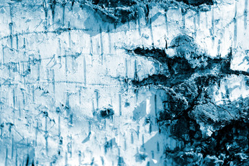 Birch tree bark close up. Abstract natural background blue color toned