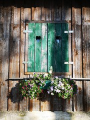 Holzfenster mit grünen Balken