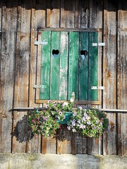 Holzfenster mit grünen Balken