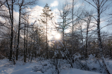 Russian Winter