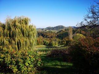 Obraz premium Herbst in der Steiermark