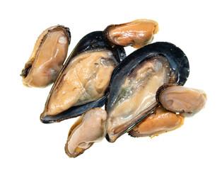 oysters and mussels on white background