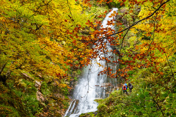 Ramas de haya con hojas de color ocre en otoño con la Cascada del Xiblu al fondo. Hayedo de Montegrande. Ruta de senderismo. Cordillera Cantábrica, Asturias, España.