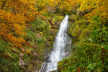 Cascada del Xiblu y Hayedo de Montegrande en otoño. Ruta de senderismo. Cordillera Cantábrica, Asturias, España.
