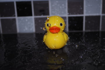 duck toy with water drop