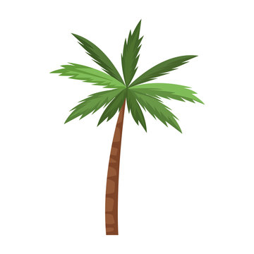 palm icon image, flat design