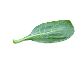 leaves of collards on background,Chinese kale