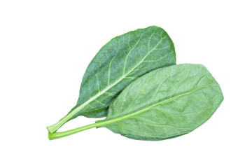 leaves of collards on background,Chinese kale