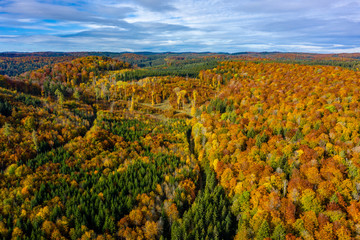 Herbstwald Schwäbische Alb