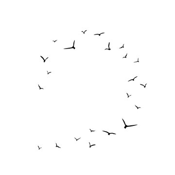 Frame with flying birds. Black swallows in circle. Bird trace. Freedom, romantic, dreams, lyric.