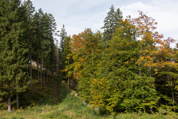 Fototapeta na wymiar Das Lechtal im Herbst