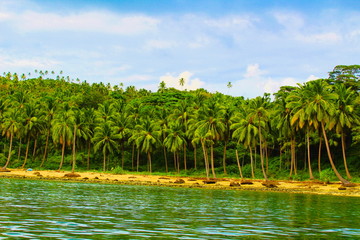 Obraz premium landscape with river and palm trees