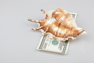 조개껍데기는 화폐로 사용되었다