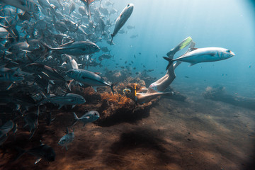 Young woman snorkeling and skin dives in the tropical sea with the fish