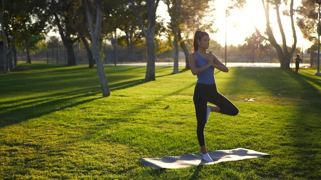 A beautiful young woman yogi holding balance in a meditative one legged prayer hands yoga pose on a mat in the park at sunrise.