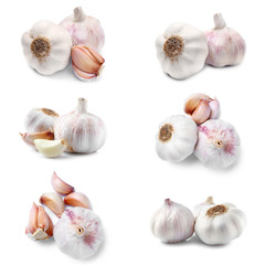 Many fresh garlic on white background