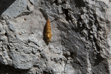 Das Lechtal im Herbst