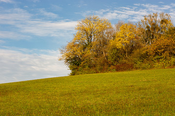 Bildschirmschoner  Bliesgau Bio Landschaftsaufnahme Herbst Bioshäre Landwirtschaft Bäume Wald...