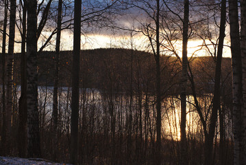 Foret hiver Finlande voyage Kuopio lac