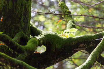 Das Lechtal im Herbst