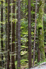 Das Lechtal im Herbst