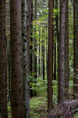 Das Lechtal im Herbst