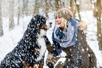 Woman walking her dog in the winter and both explore the snow together