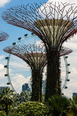 Gardens by the bay at Singapore