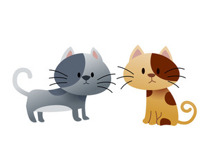 Obraz premium Cute baby domestic cat