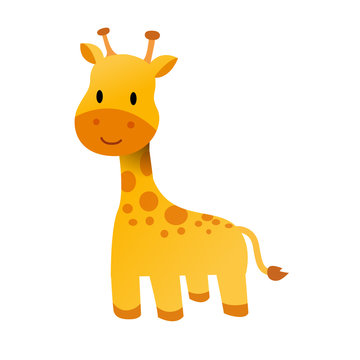Cute baby Giraffe
