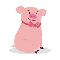 Cute baby pig sitting