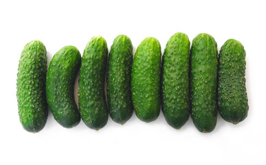 fresh green cucumbers isolate on white background, concept