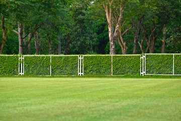 football field Is a green lawn That has been beautifully trimmed	