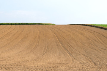 Fototapeta na wymiar Field plowed, sown cereals. Agriculture plowed field in spring day. Black soil plowed field. Plowed field with blue sky