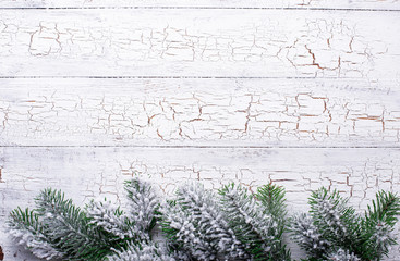 Christmas background with branch of tree