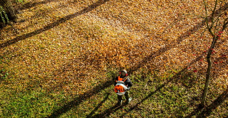 Handing of autumn leaves