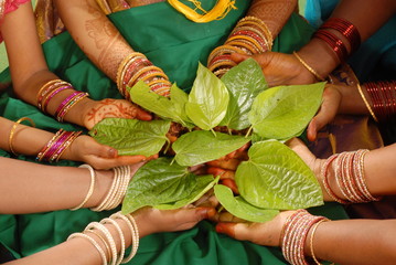 A lady's hands with pan leaves 