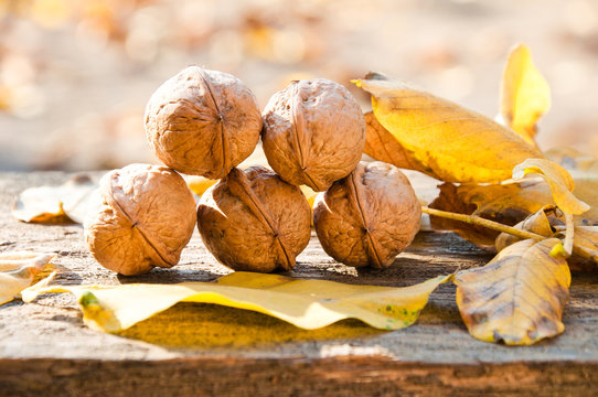 Walnuts and fallen walnut leaves on an old rustic wooden table