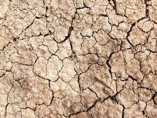 The ground has cracks in the top view for the background