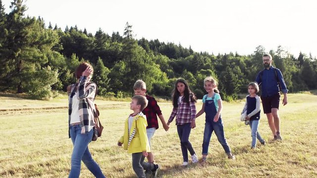 Group of school children with teacher on field trip in nature, walking.