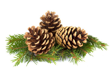 Fototapeta premium Pine cones and fir tree branch on a white background