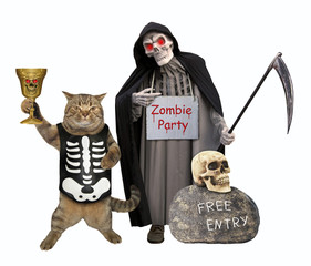 The cat in a skeleton costume drinks a magic potion from the golden goblet near the grim reaper. Zombie party. White background. Isolated.