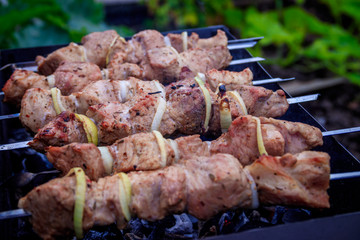 Meat skewers with onions on skewers. Charcoal meat.