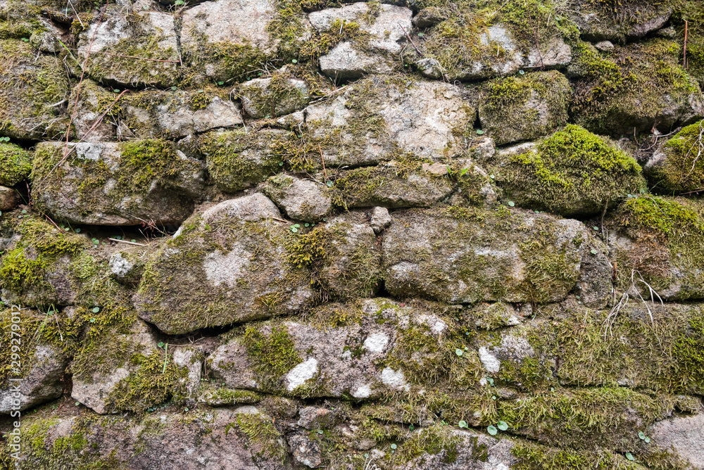 Wall mural Texture of a stone wall with moss. Old castle stone wall background. Wall made of wild stone. Natural background.