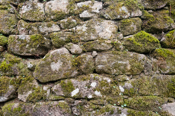 Texture of a stone wall with moss. Old castle stone wall background. Wall made of wild stone. Natural background.